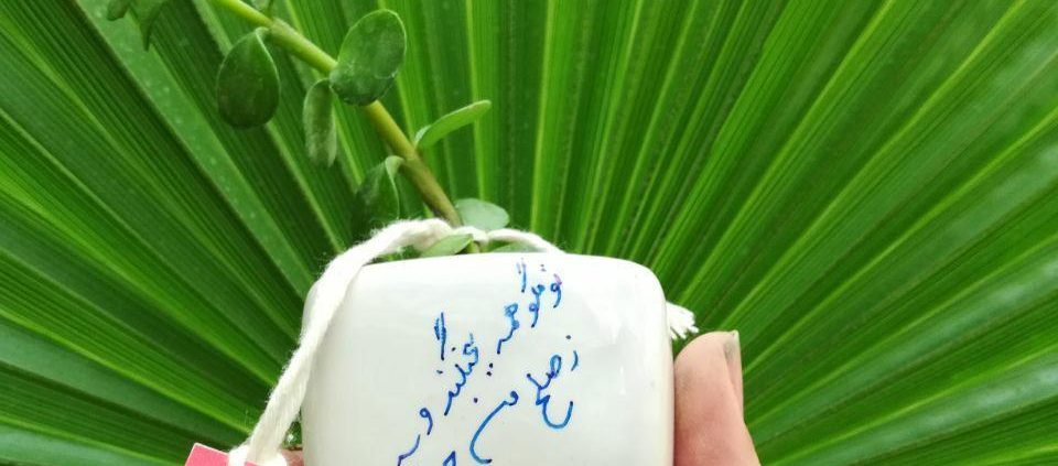 زندگی محله لب خط شوش