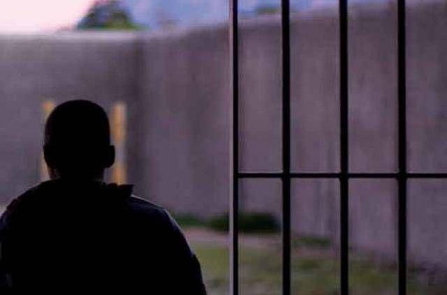 مجید ازاد شد